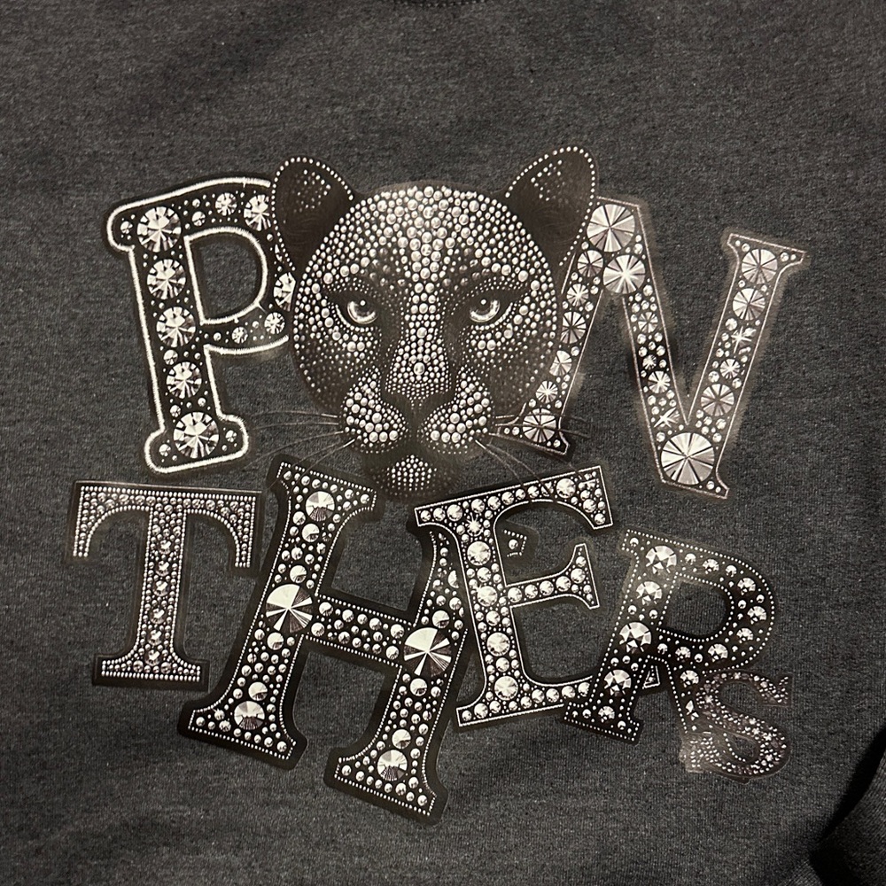Grey Panthers sweatshirt
